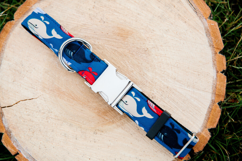 Dog Collar and Leash set